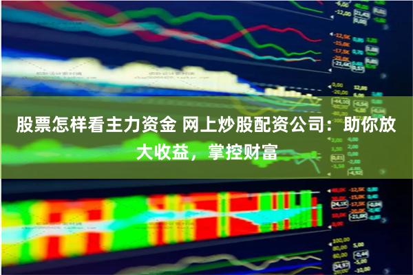 股票怎样看主力资金 网上炒股配资公司：助你放大收益，掌控财富